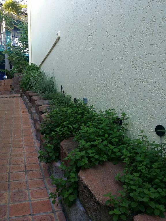 טאונסביל Reef Lodge Backpackers מראה חיצוני תמונה